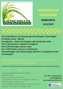 Ogni seconda domenica del mese